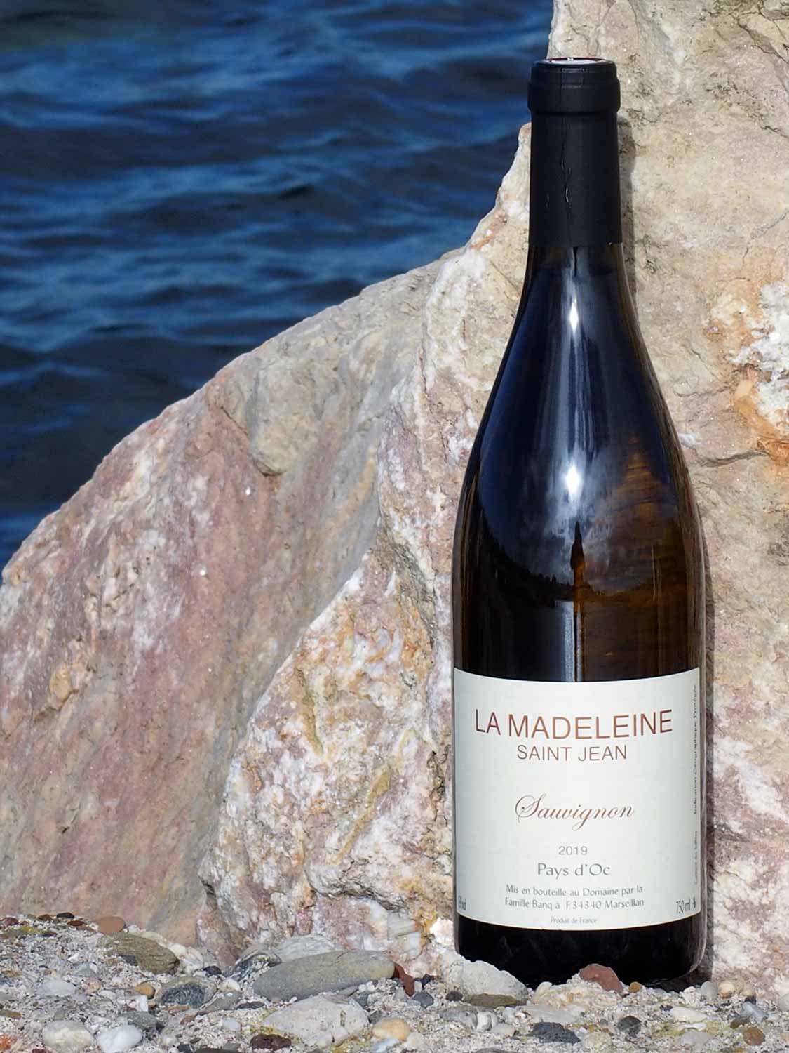 Sauvignon 2024