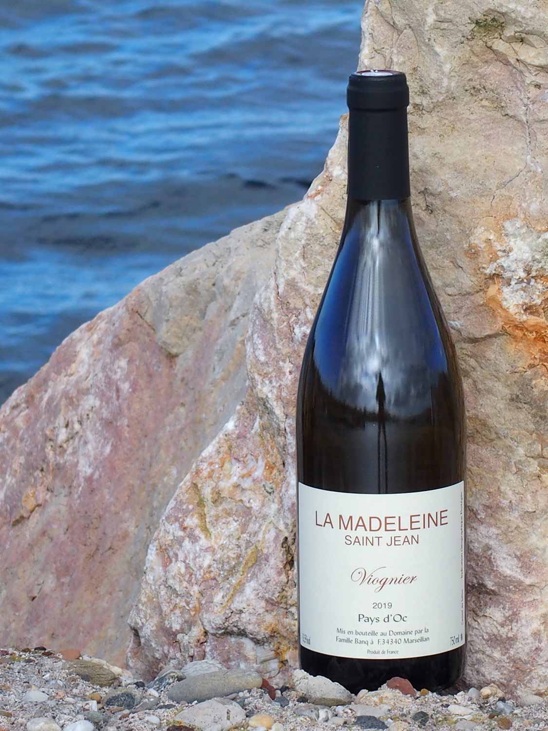 Viognier 2024